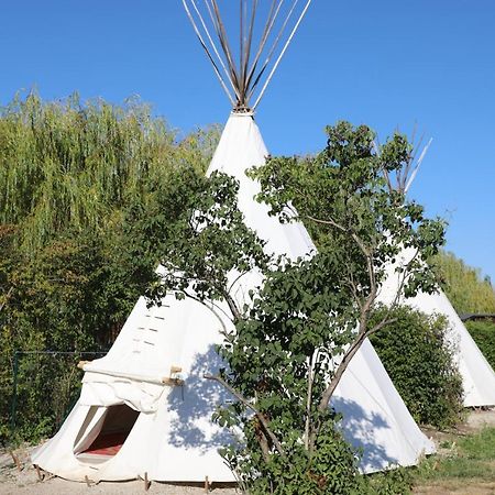 Storchencamp Gaestehaus Руст Екстер'єр фото